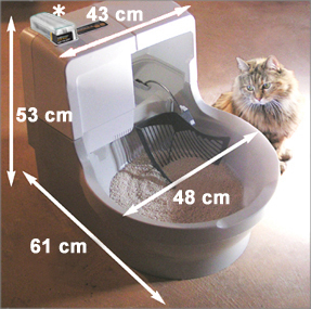 Kočka a záchod